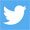 twitter-icon